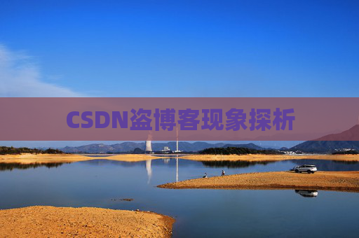CSDN盗博客现象探析